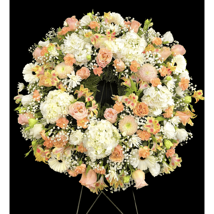 Corona una pastel premium 1