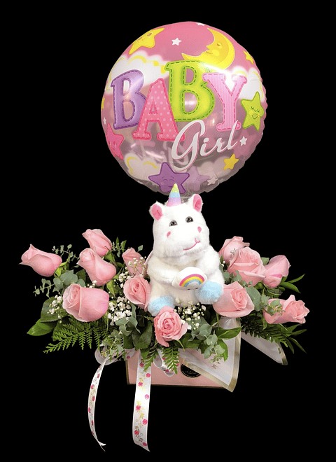 Carterita de nacimiento baby girl