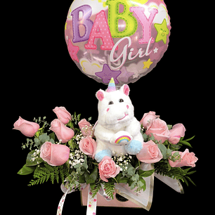 Carterita de nacimiento baby girl