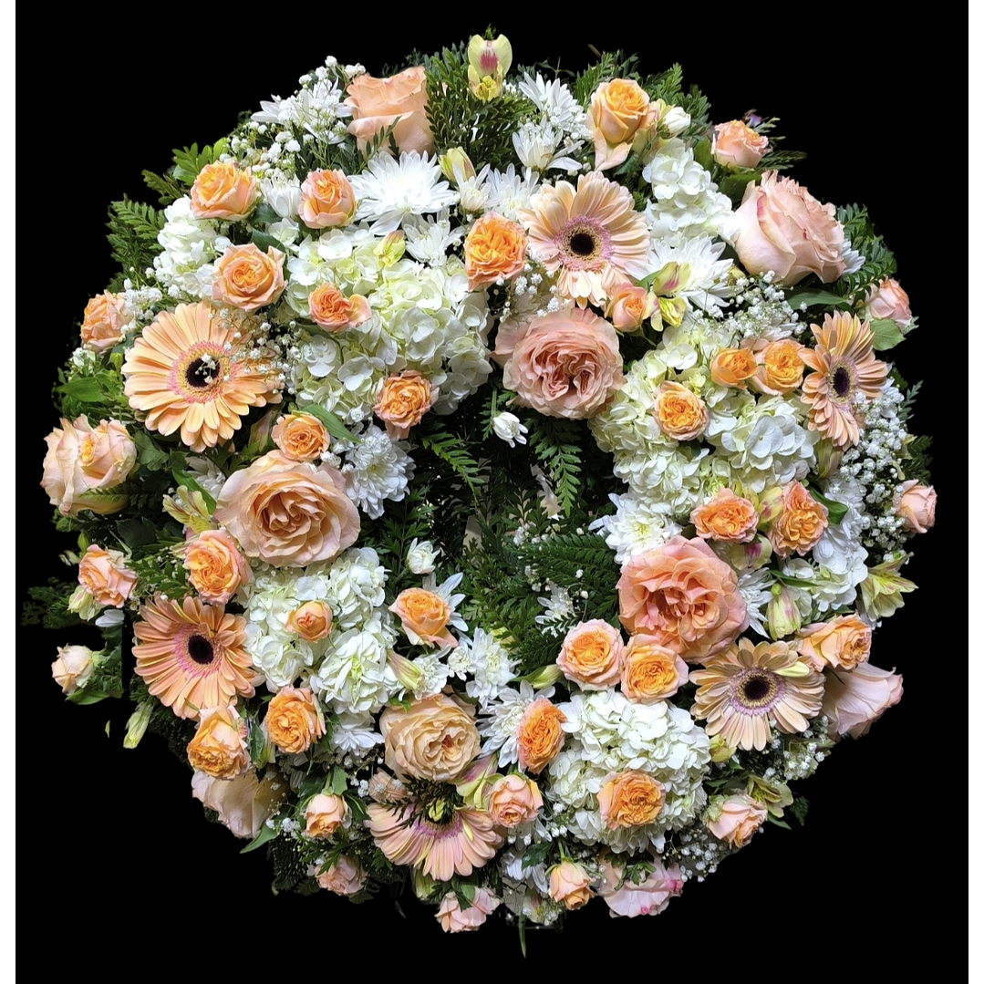 Corona peach perfect 1