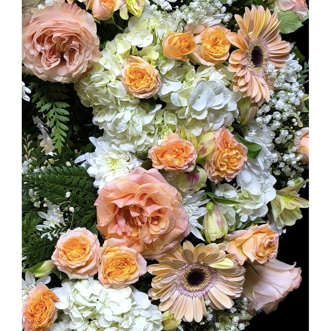 Corona peach perfect 2