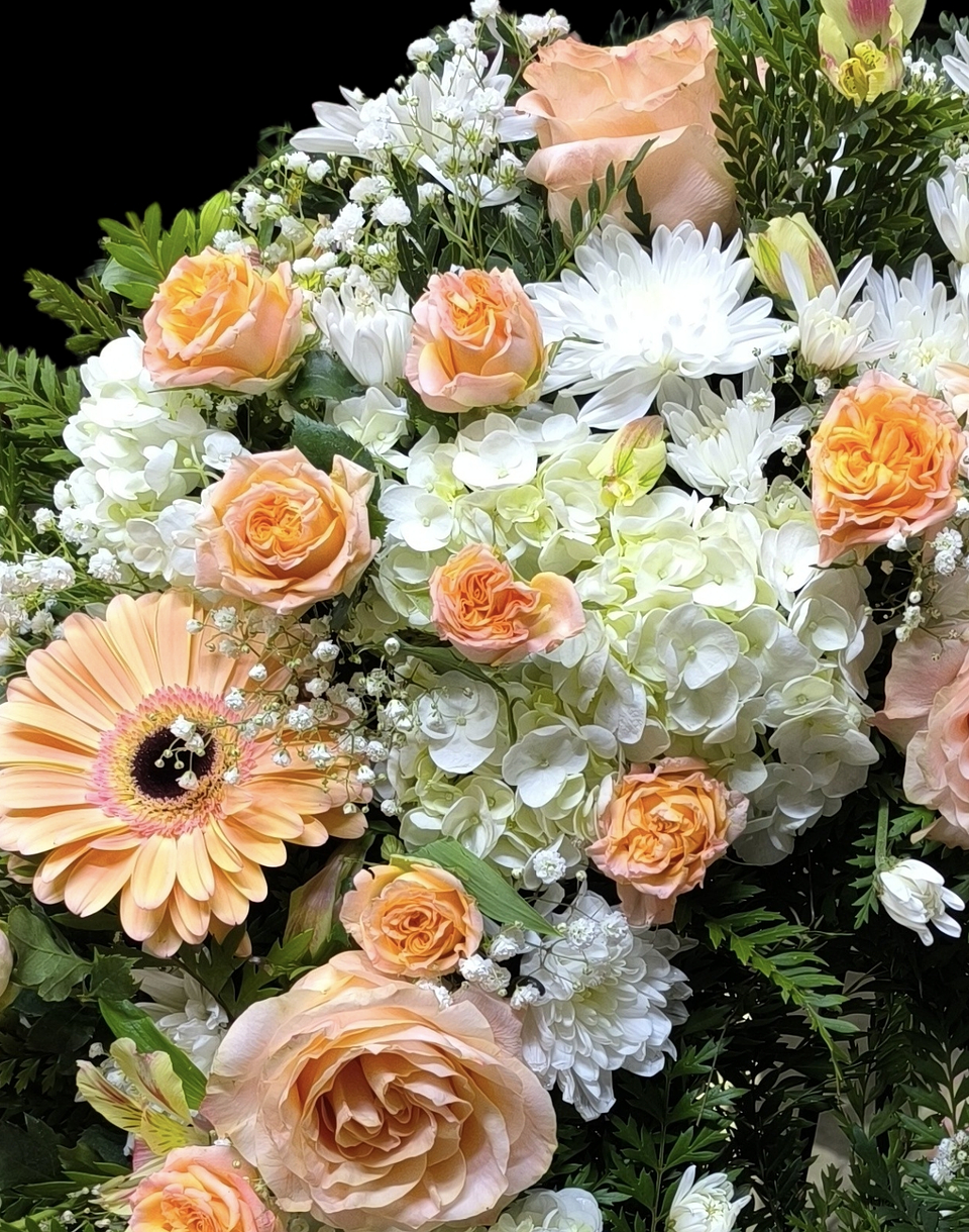 Corona peach perfect 3