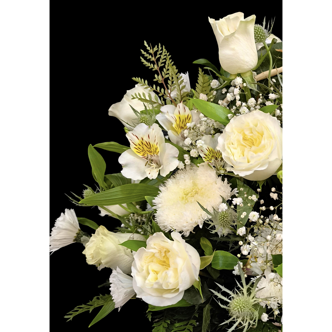 Cesta perfect white 2