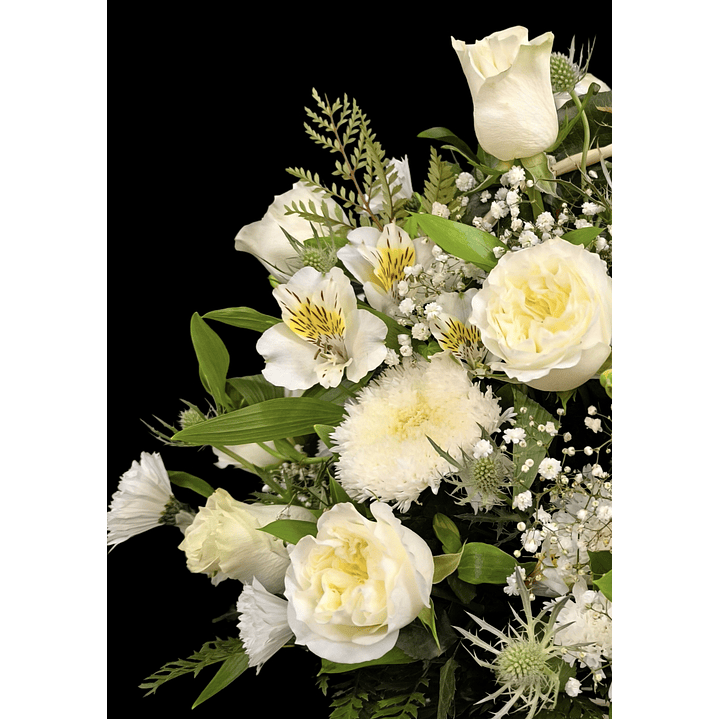 Cesta perfect white 2