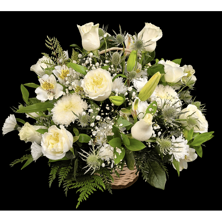 Cesta perfect white 1