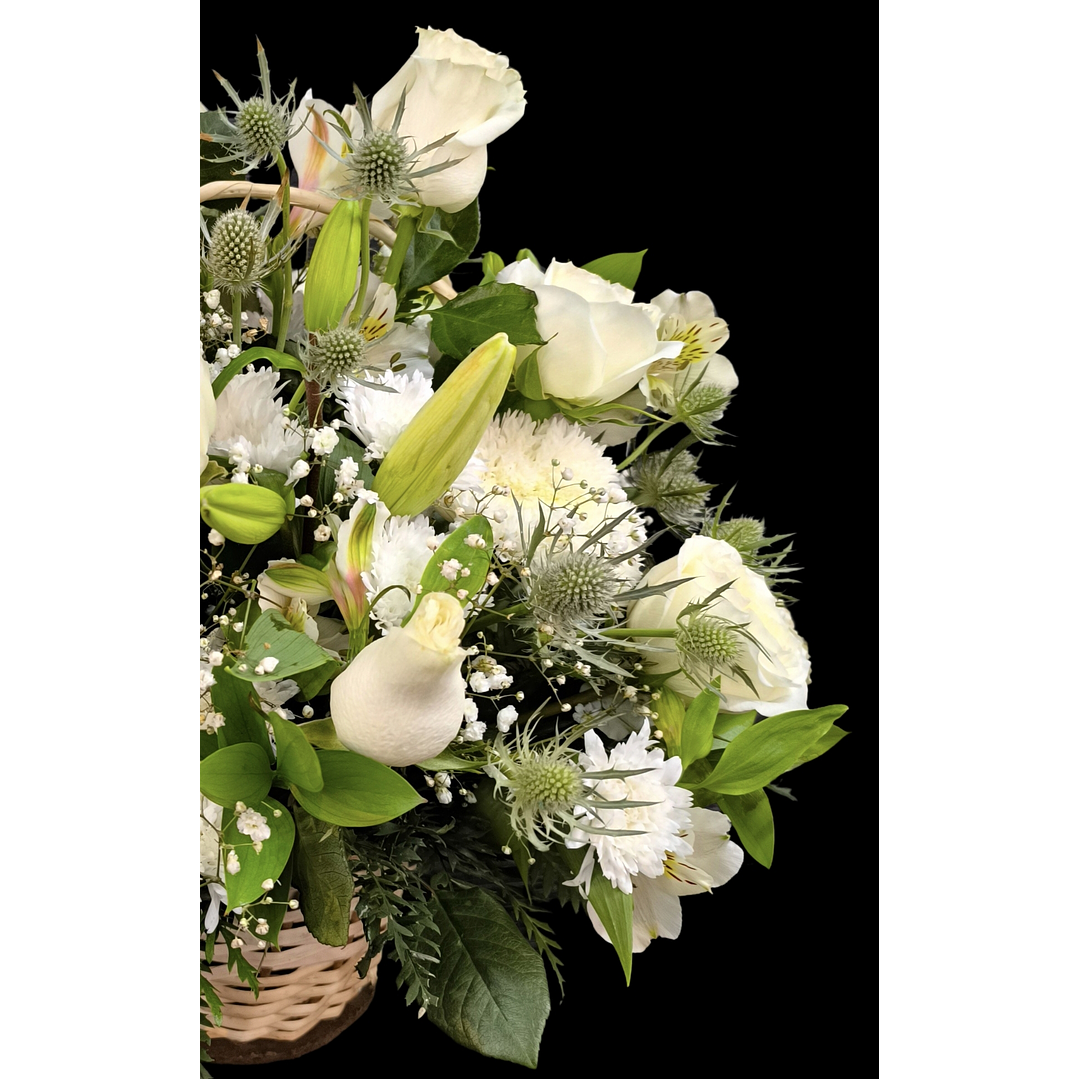 Cesta perfect white 3