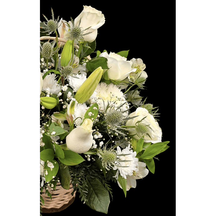 Cesta perfect white 3