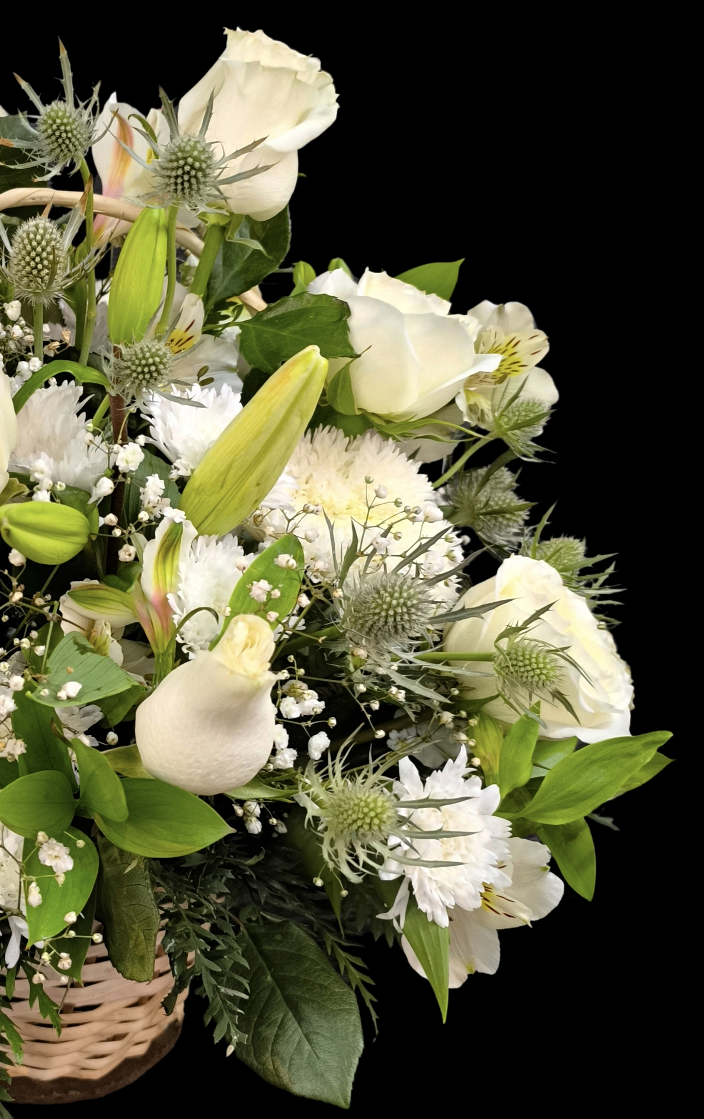 Cesta perfect white 3