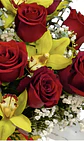 Box red obsession - Miniatura 3