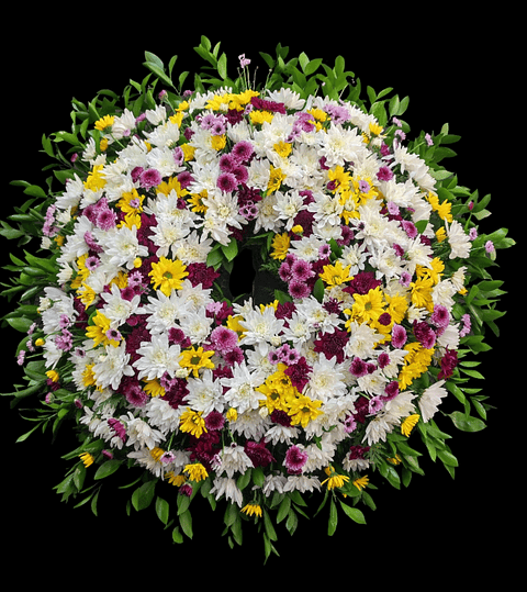 Gran corona de maules 