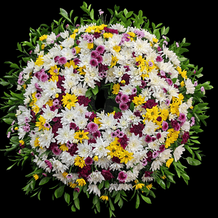 Gran corona de maules 