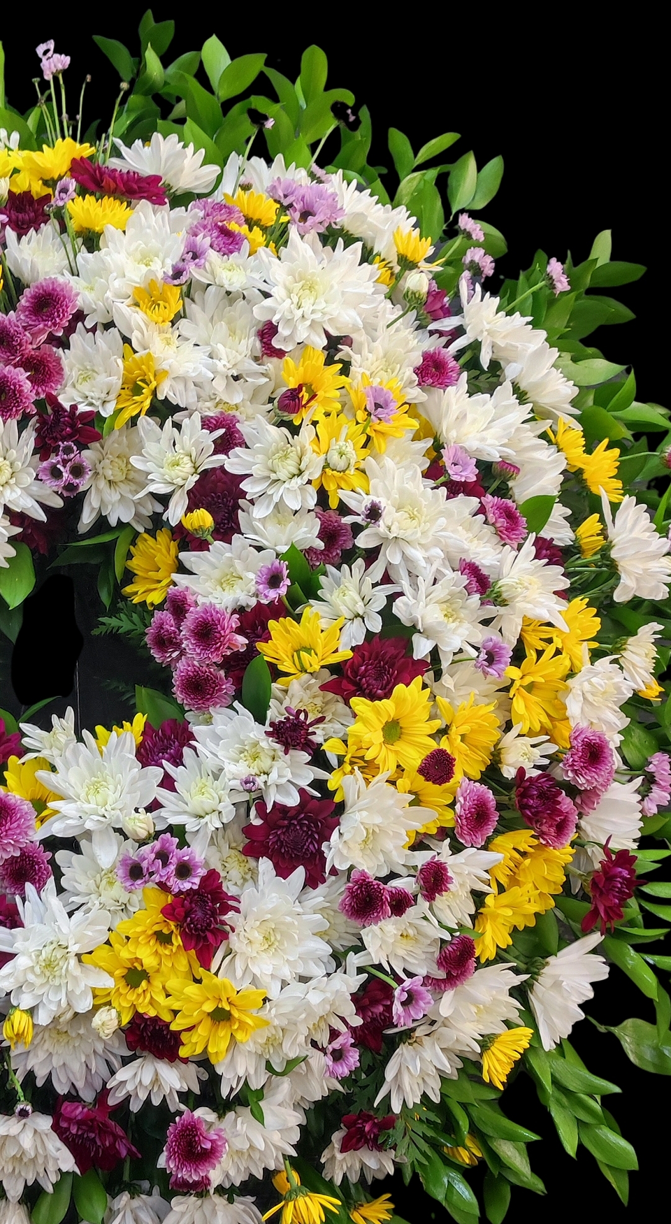 Gran corona de maules  2