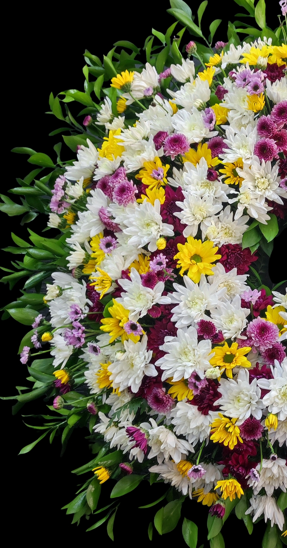 Gran corona de maules  3