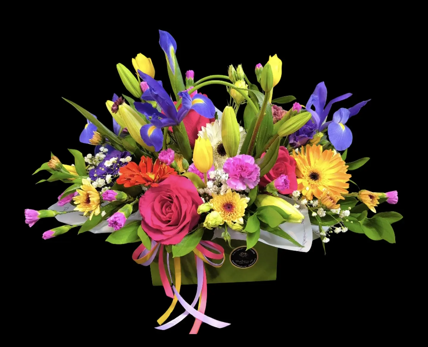 Cartera primavera  1