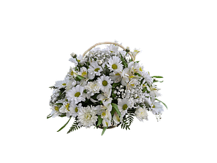 Cesta de alstroemerias y maules blancos de condolencias