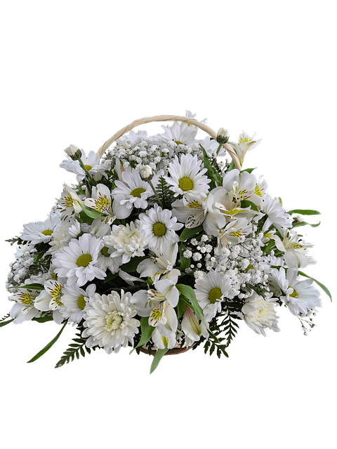 Cesta de alstroemerias y maules blancos de condolencias