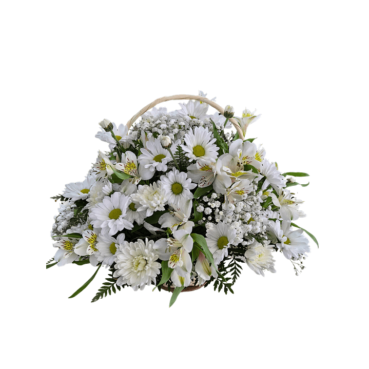 Cesta de alstroemerias y maules blancos de condolencias 1