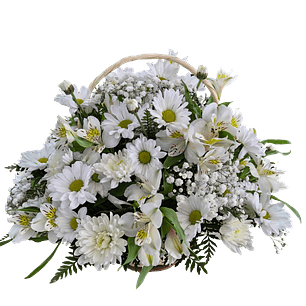 Cesta de alstroemerias y maules blancos de condolencias