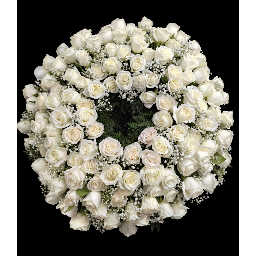 Corona de condolencias 100 rosas blancas  1