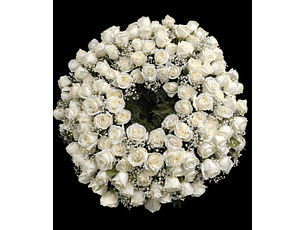 Corona de condolencias 100 rosas blancas 