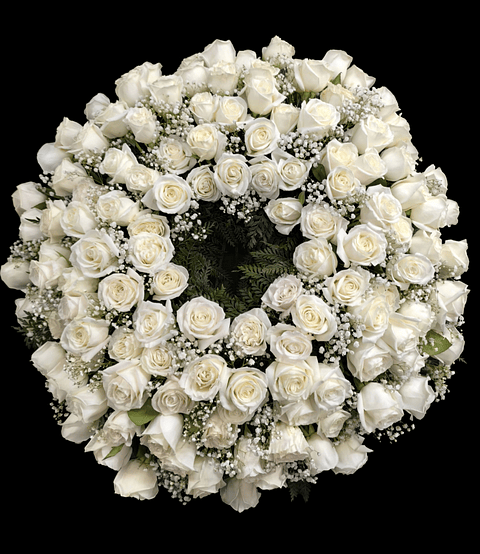 Corona de condolencias 100 rosas blancas 
