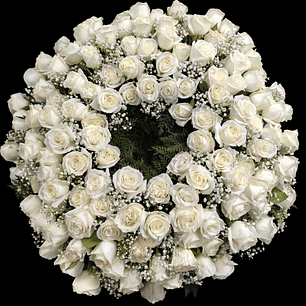 Corona de condolencias 100 rosas blancas 