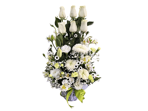 Paralelo de rosas blancas