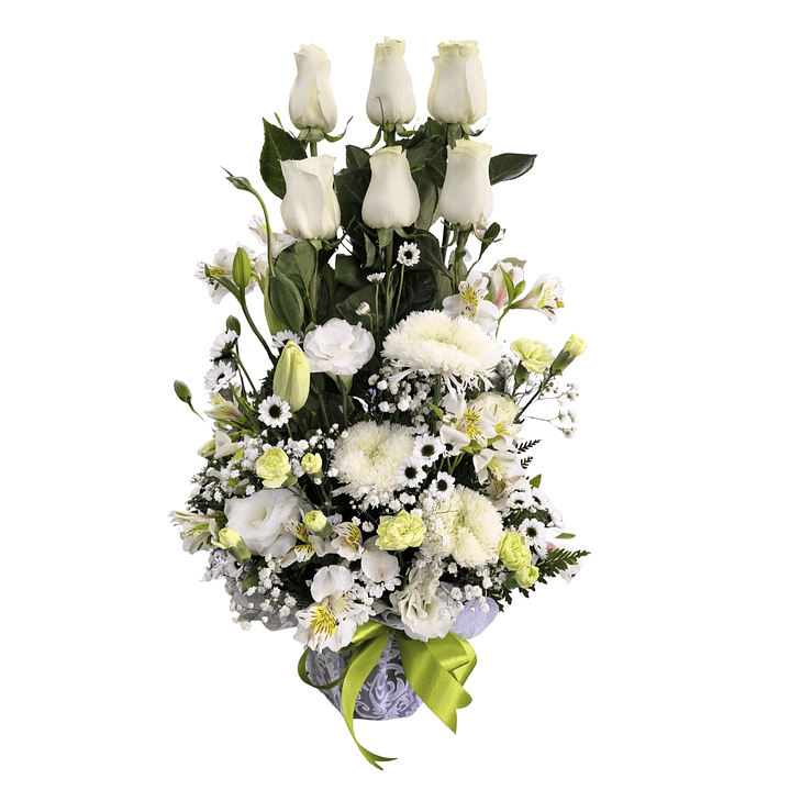 Paralelo de rosas blancas 1