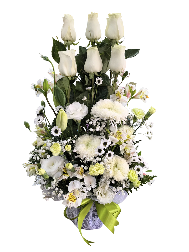 Paralelo de rosas blancas 1