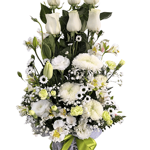 Paralelo de rosas blancas