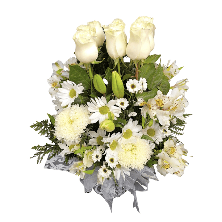 Maceta de 9 rosas blancas  1