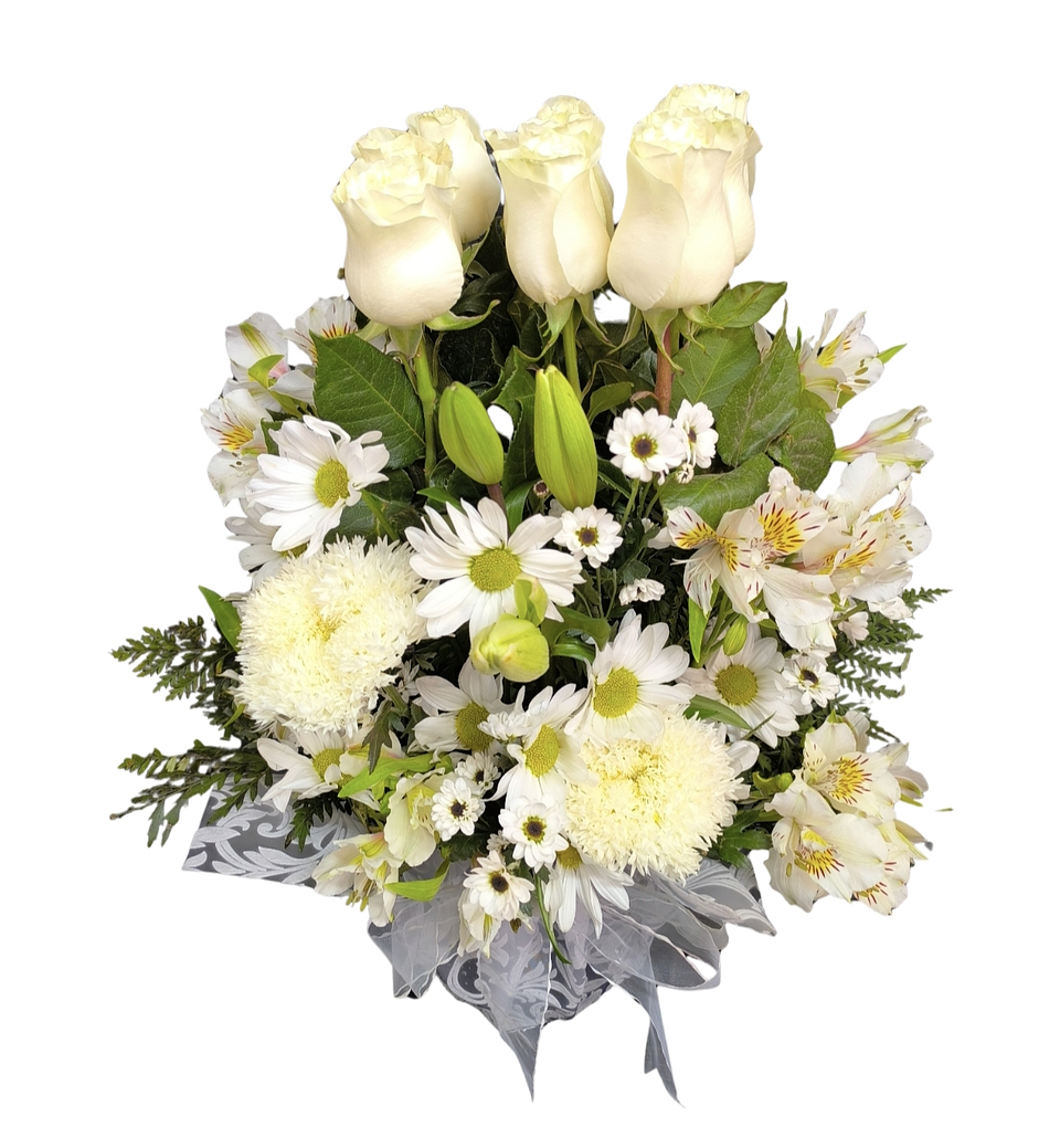 Maceta de 9 rosas blancas  1