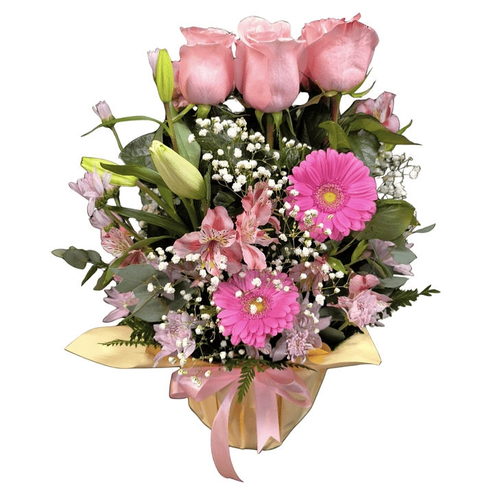 Maceta de 9 rosas rosadas  1