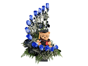Caracol de rosas azules y peluche de graduación 