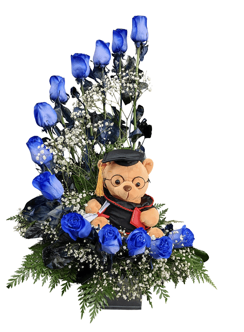 Caracol de rosas azules y peluche de graduación 