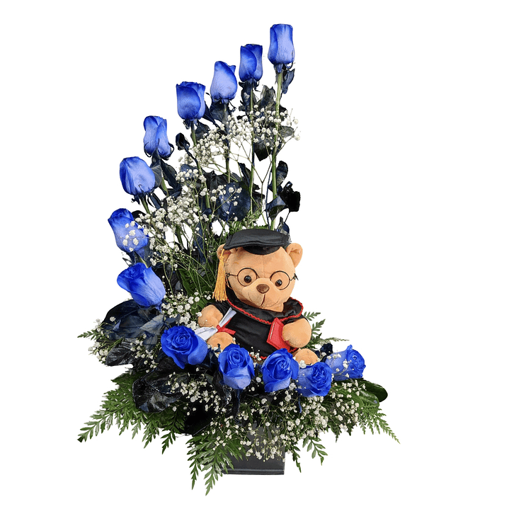Caracol de rosas azules y peluche de graduación  1