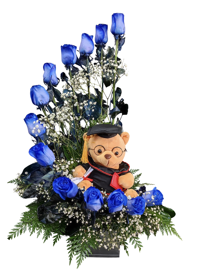 Caracol de rosas azules y peluche de graduación  1