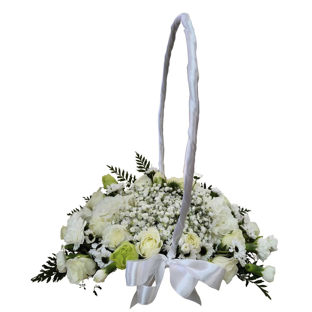 Cesta dream white anillos de matrimonio  1