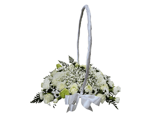 Cesta dream white anillos de matrimonio 