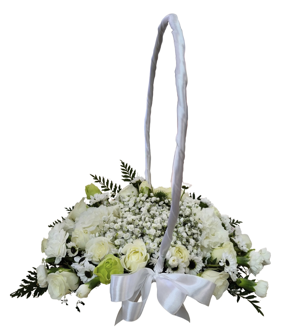 Cesta dream white anillos de matrimonio  1