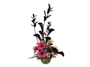 Pecera de calas glorious chocolate