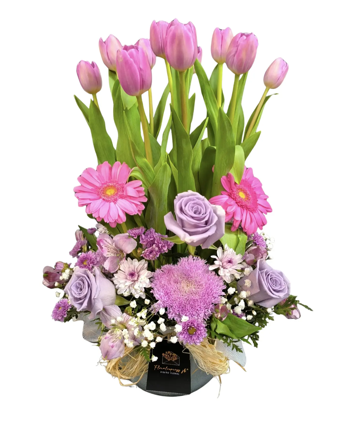 Encanto de Amor pecera de tulipanes  1