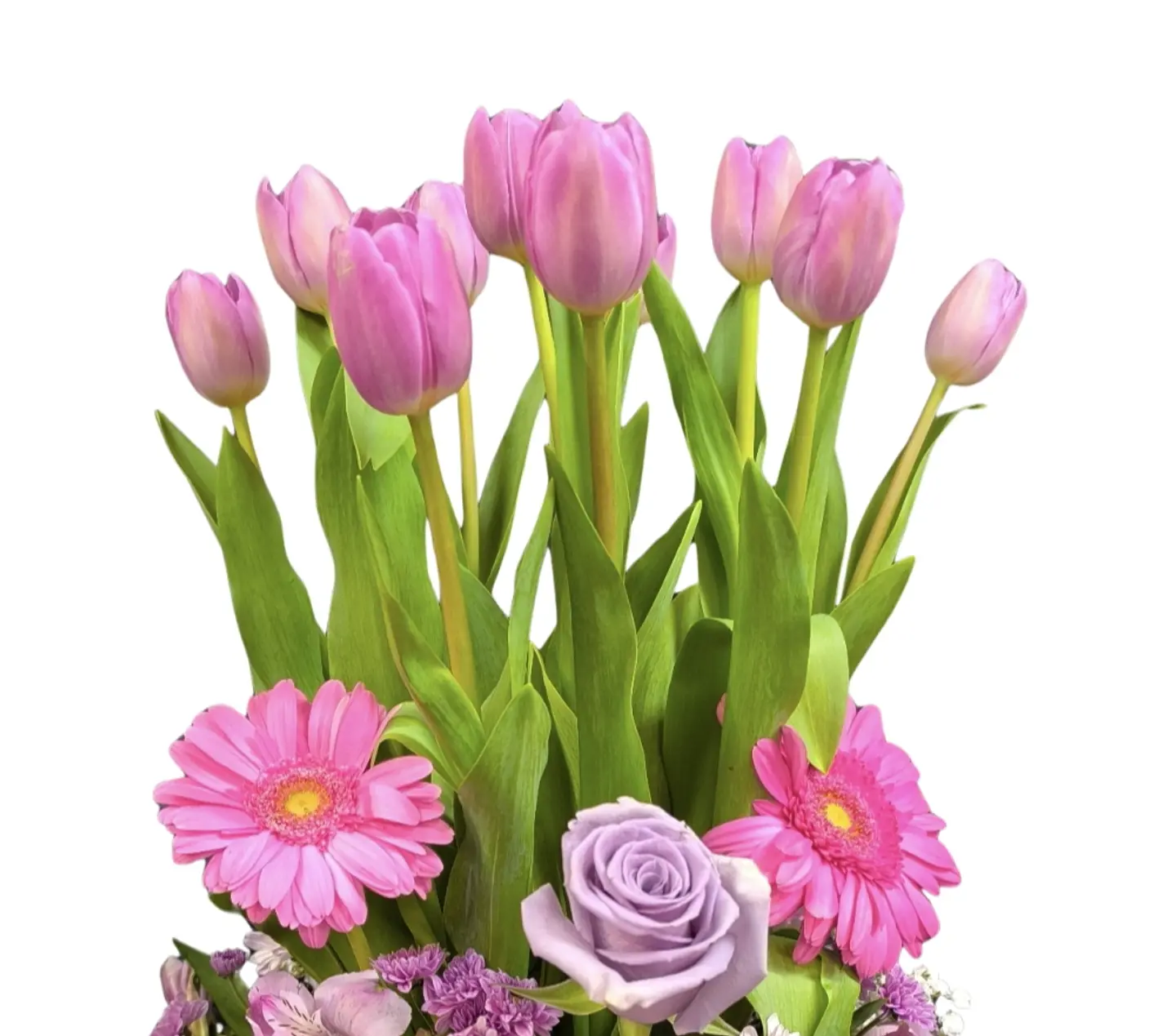 Encanto de Amor pecera de tulipanes  2