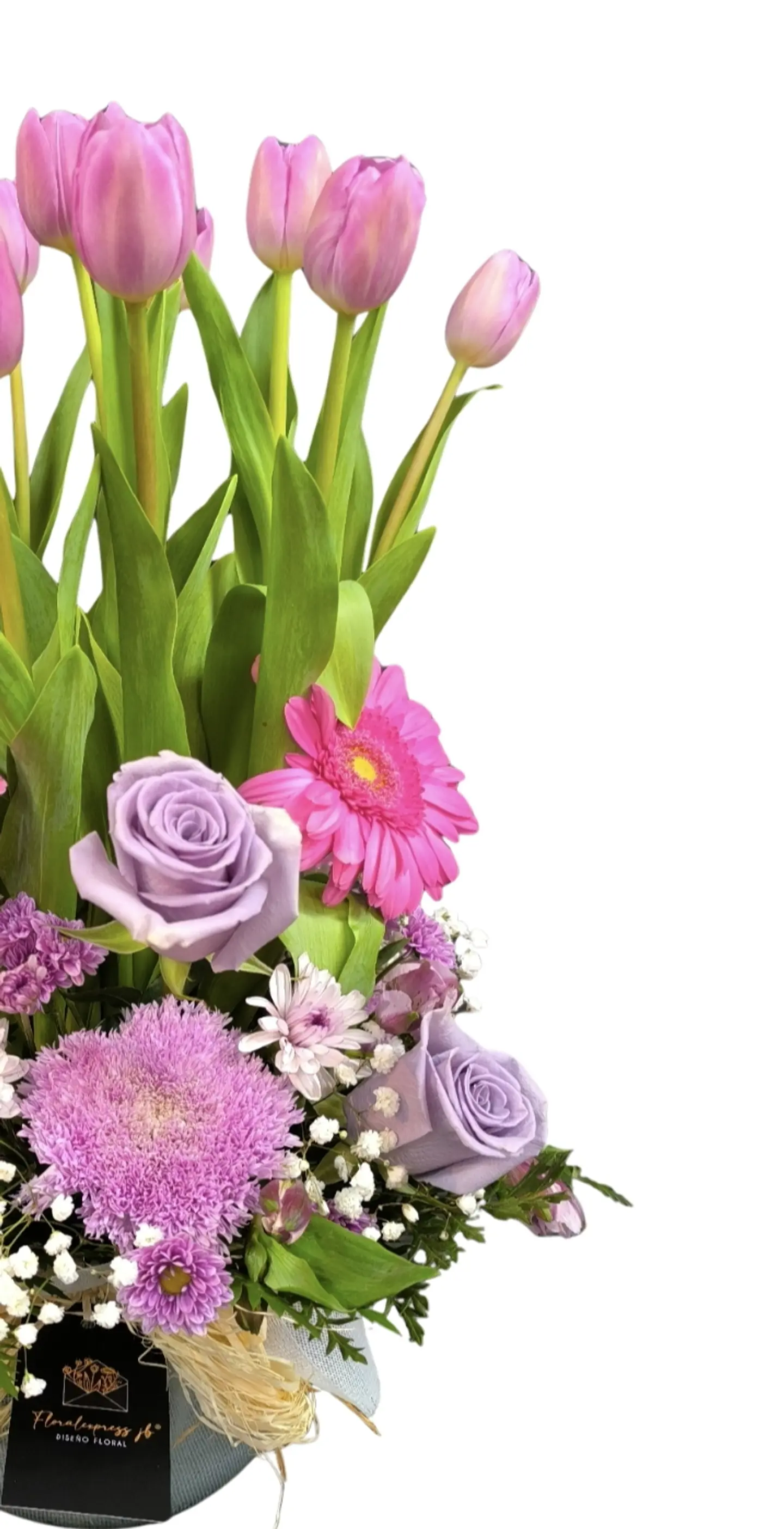 Encanto de Amor pecera de tulipanes  4