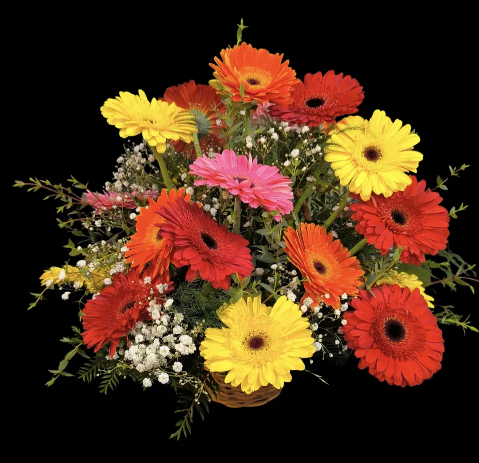 Cesta mixta gerberas  2
