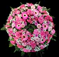 Corona de condolencia rosada - Miniatura 3