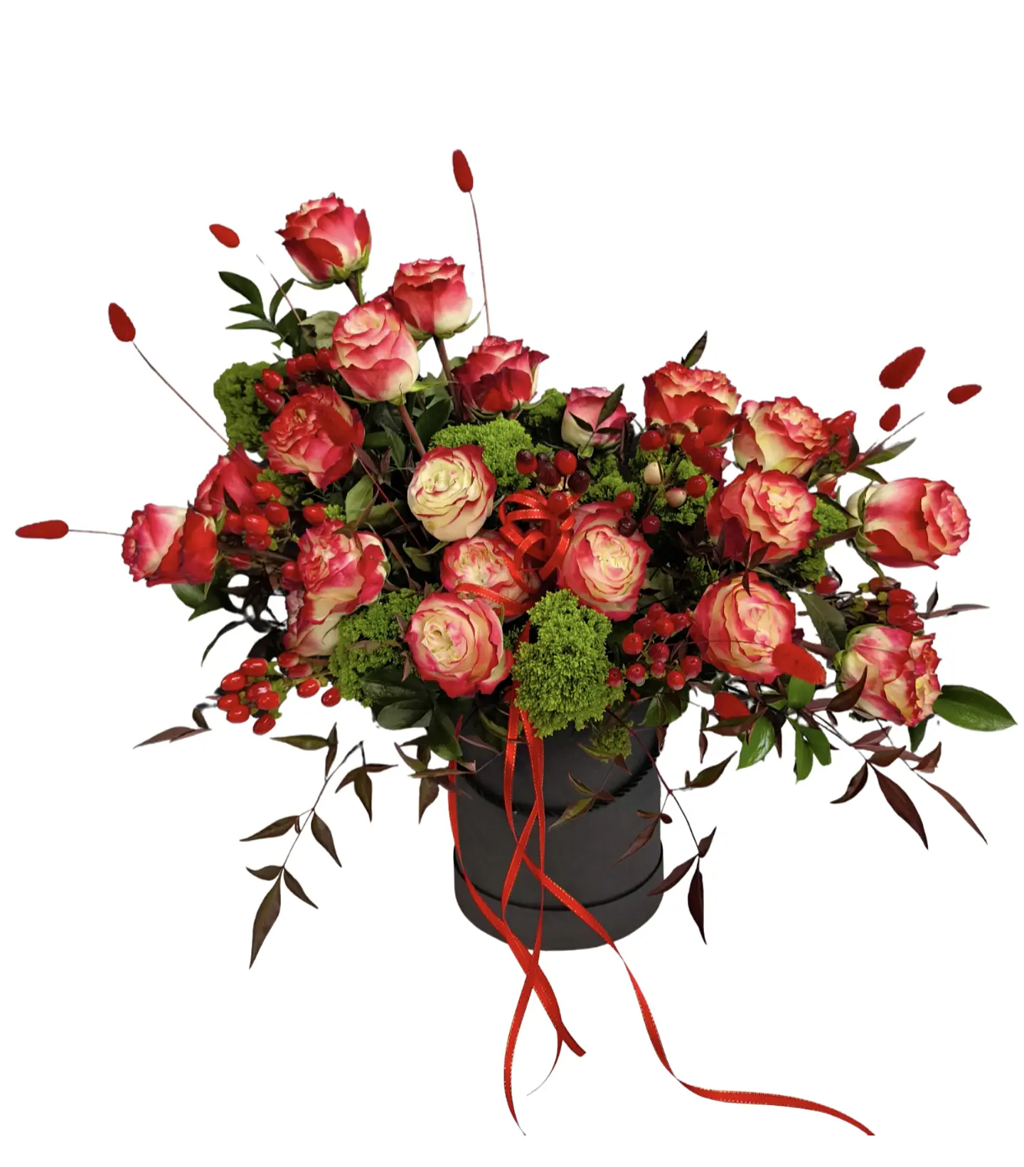 Box Garden roses Apple Jack 1