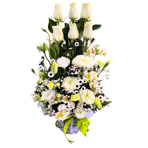 Paralelo de rosas blancas