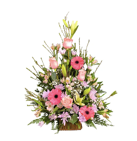 Arrimo petit rosado 