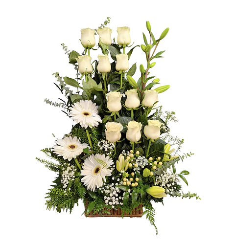 Paralelo de rosas blancas y gerberas 